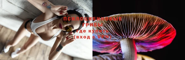 молекула духа Балахна