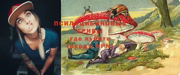 Альфа ПВП Балабаново