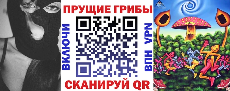 где можно купить   Спас-Деменск  Галлюциногенные грибы мицелий 